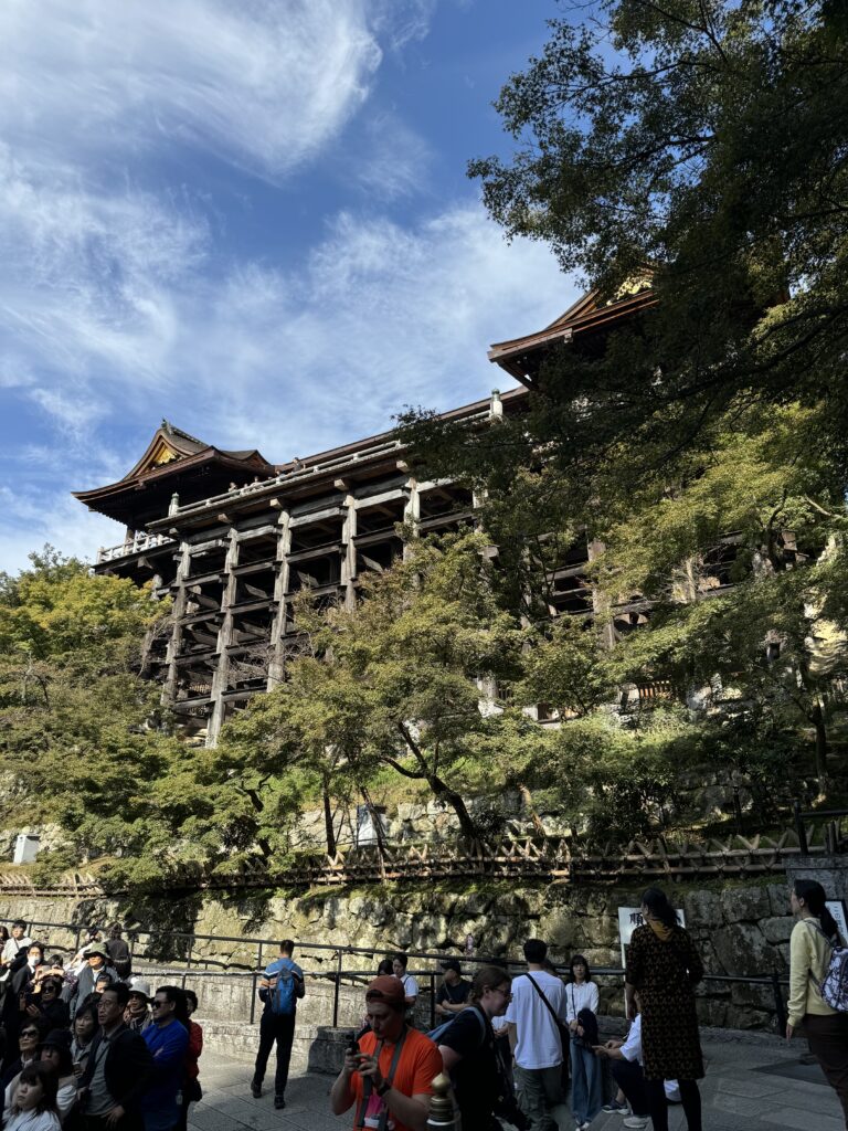 IMG_0798